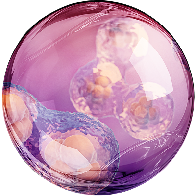 Комплекс церамидов